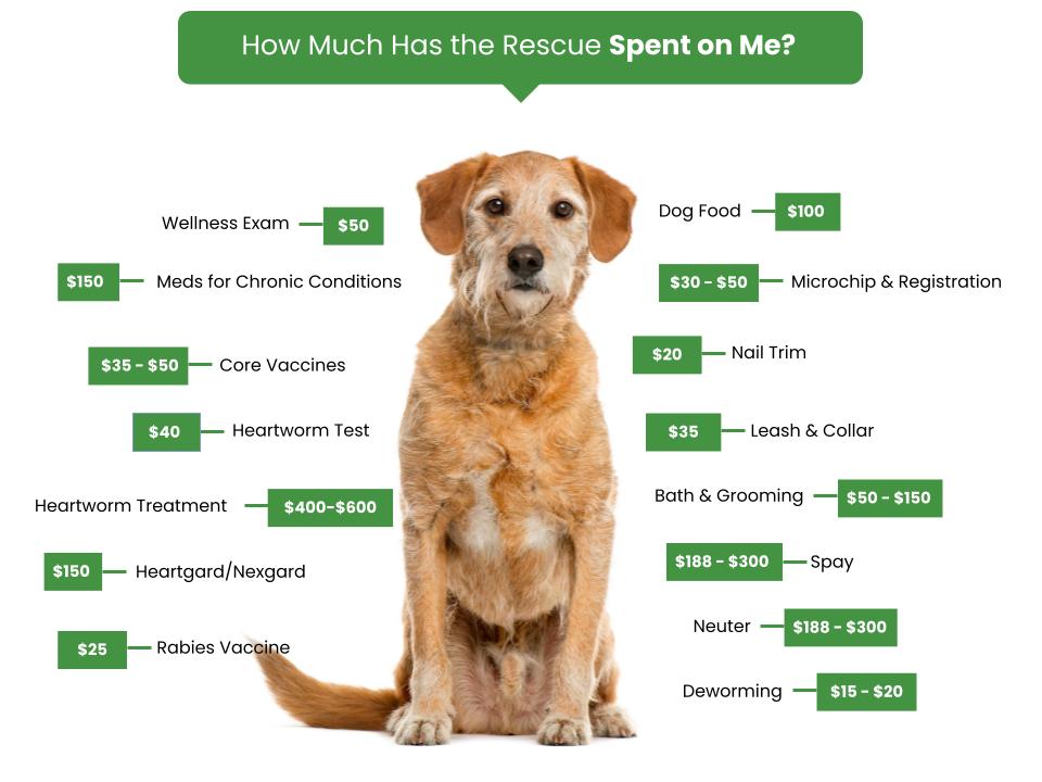 Laura's Hope Rescue - Fee Graphic